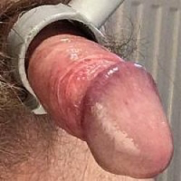 Cockdevil's Avatar