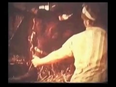 Sensual Handjob Bull, Extreme Cock With Cumshot