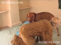 Summer - Summer Madness