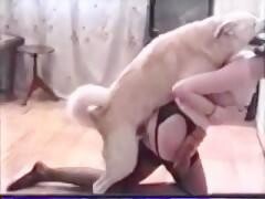 Dog Dominated With Doggystyle