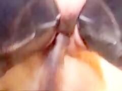 Hot Sex Video With Horse