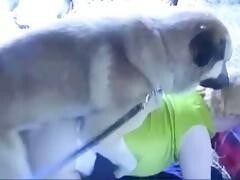 Fucking In The Horse Pen