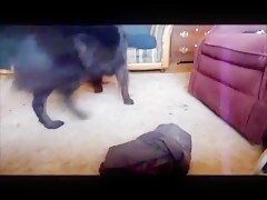 Busty taboo mature fucked passionately