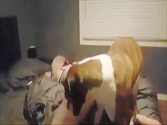 Busty Babe Fucks Dog