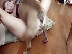 Kinky Girl Humping Dog