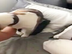 She is very wet with her pet