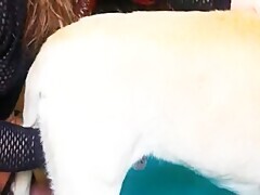 Pov Blowjob From Beautiful Teen