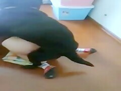 Mature Wife Gets Pussy And Ass Fucked With Cumshot By Big Dick