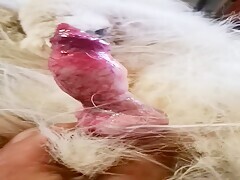 Thumb 6