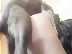 Amateur Makes Dogsex On Vacation