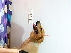 Thumb 6