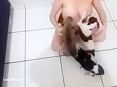 Puppies want to eat