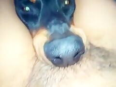 Thumb 18