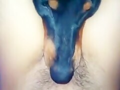 Thumb 20