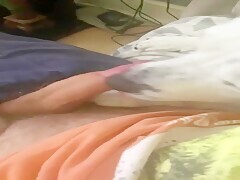 Guy records how his dog sucks his dick