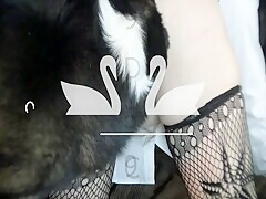 Thumb 13