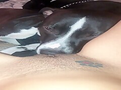 Brazilian Pussy Licking