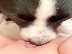 Girl have sex with a her dog