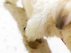 Thumb 11