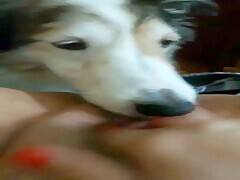 Pussy Licking Session