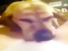 Shaving My Hairy Pussy For Dog