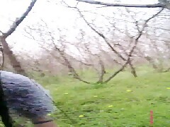 Asian Teen Perfectly Analysed