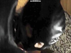 Thumb 13