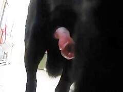 Thumb 16