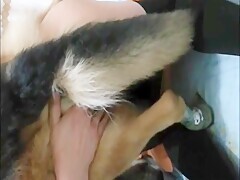 Thumb 11