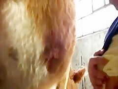 Sex 3some Orgy