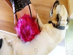 Thumb 11