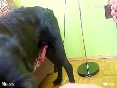 Thumb 13
