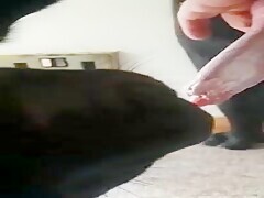Thumb 6