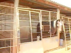 She wants to be fucked, but she has to suck horse first