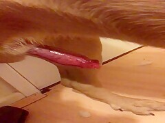 Thumb 15