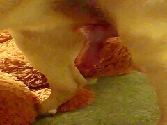 My dog wants my pussy