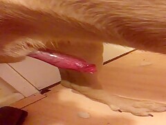 Thumb 18