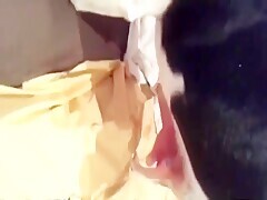 Thumb 13