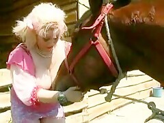 Blonde is having casual sex with her horse