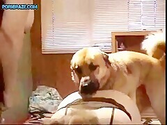 Fucking A Big-boobed Fat Woman In Different Poses