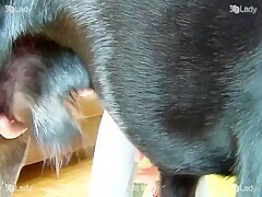 Hot Blowjob In The Room